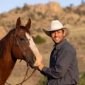 Negotiating Prices and Terms for Horse Portraits and Gifts