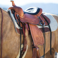 How to Find the Perfect Engraved Horse Tack for Your Equestrian Needs