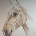 How to Create Beautiful Watercolor Portraits of Horses