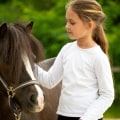 How to Choose the Perfect Horse Gift: A Guide for All Occasions