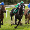 Horse Racing Betting