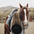 How to Find the Perfect Horse Gift for Any Equestrian Enthusiast