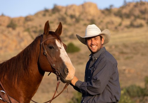 Negotiating Prices and Terms for Horse Portraits and Gifts