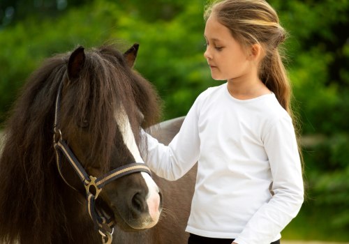 How to Choose the Perfect Horse Gift: A Guide for All Occasions