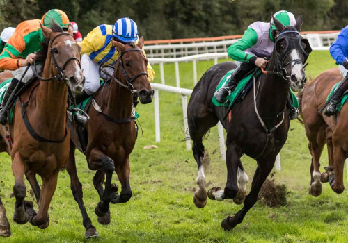 Horse Racing Betting