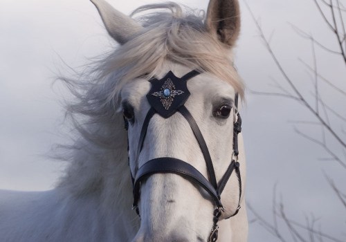 All You Need to Know About Custom Horse Designs