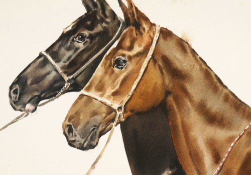Adding Color and Detail to Your Custom Horse Portrait