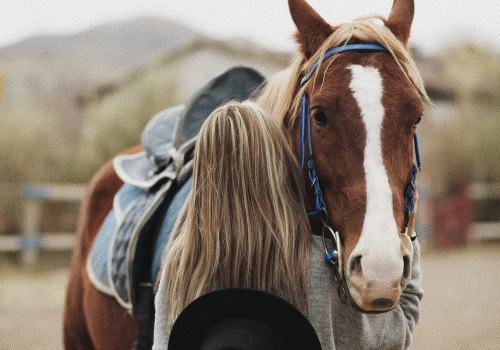 How to Find the Perfect Horse Gift for Any Equestrian Enthusiast